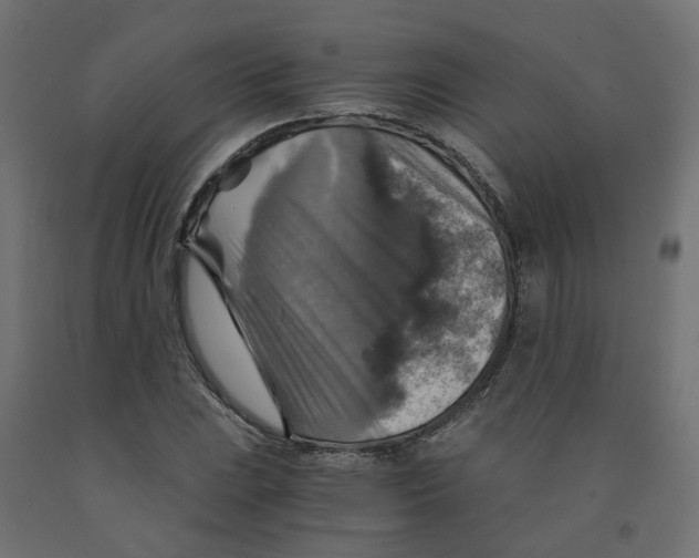 X0000091861023200710031657