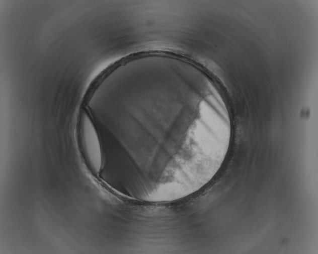 X0000091861024200710031657