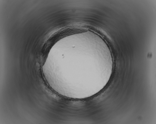 X0000091861025200710031657