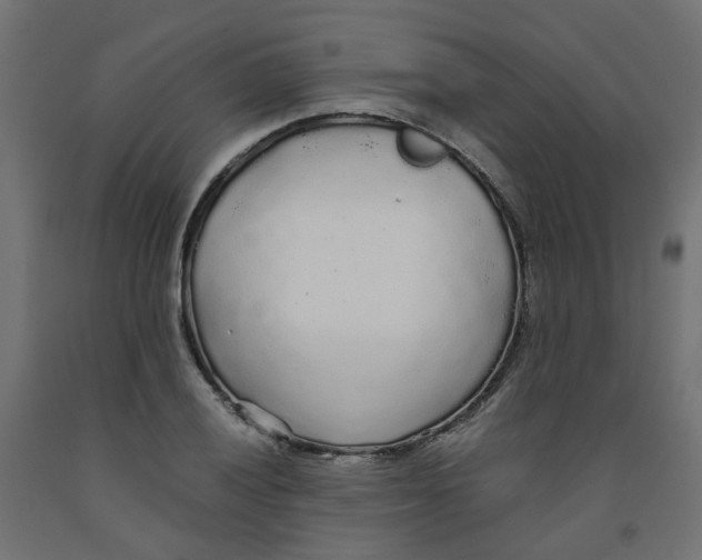 X0000091861028200710031657