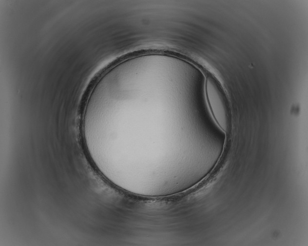 X0000091861029200710031657