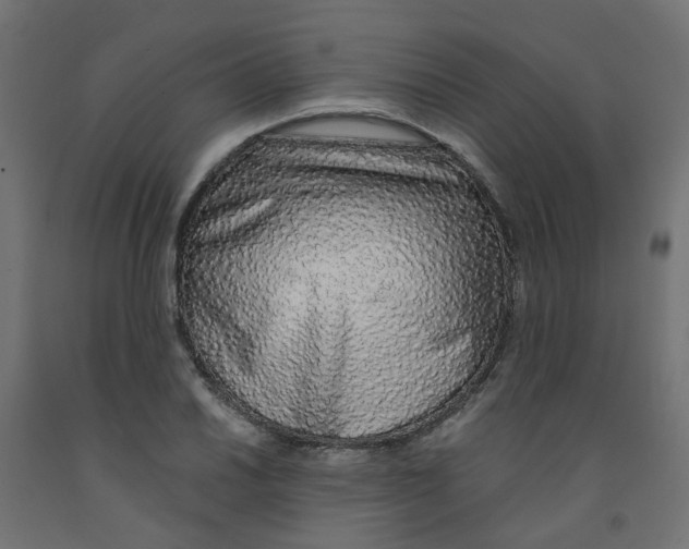 X0000091861030200710031657