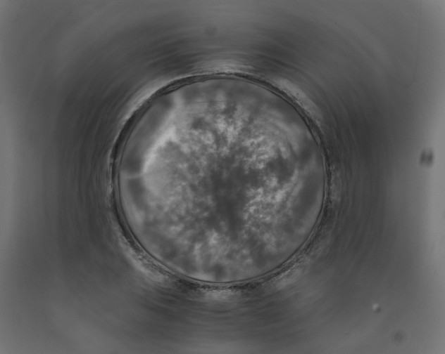 X0000091861031200710031657