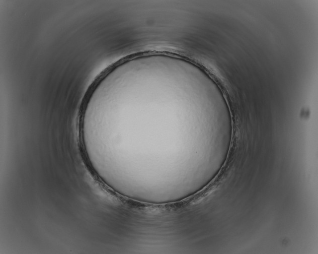 X0000091861032200710031657