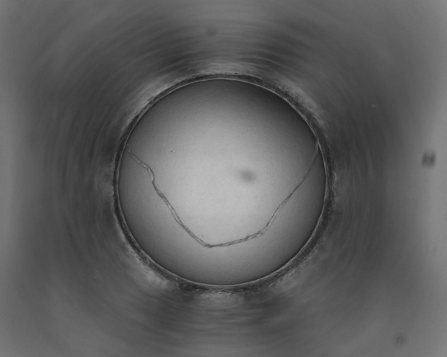 X0000091861033200710031657