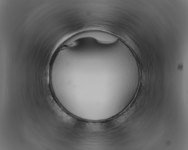 X0000091861036200710031657