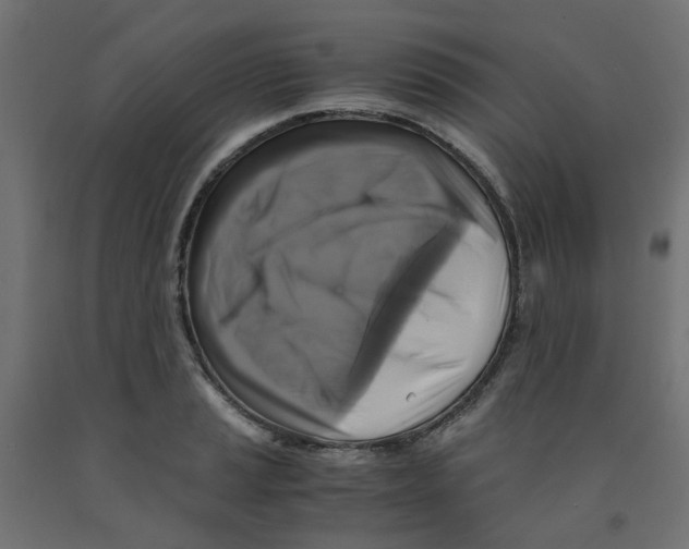 X0000091861037200710031657