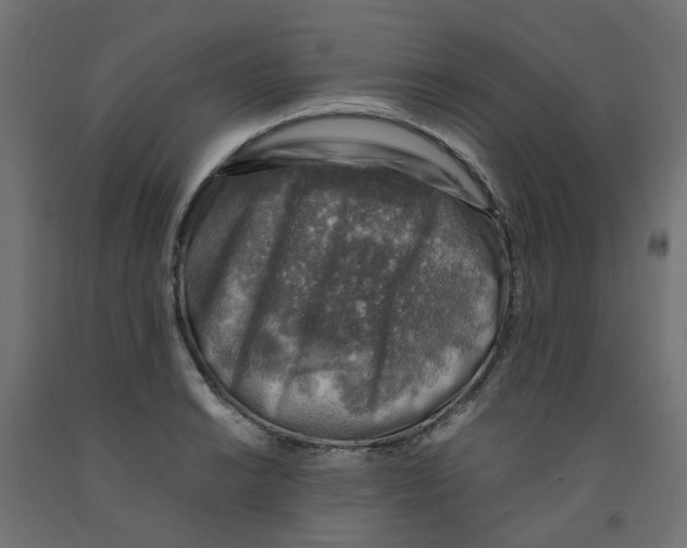 X0000091861038200710031657