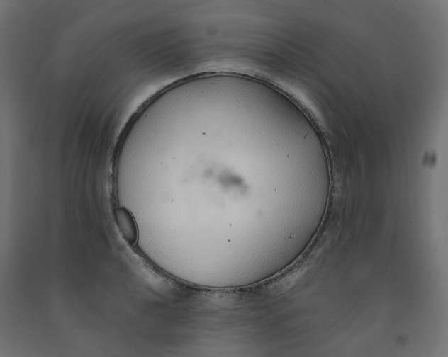 X0000091861040200710031657