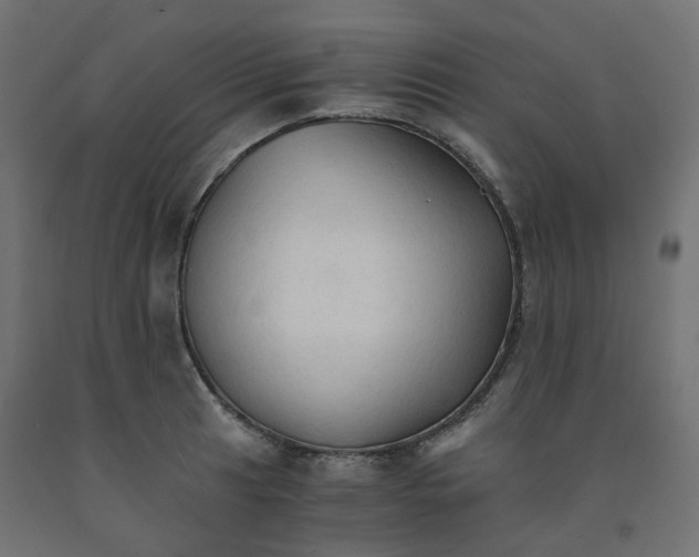 X0000091861041200710031657