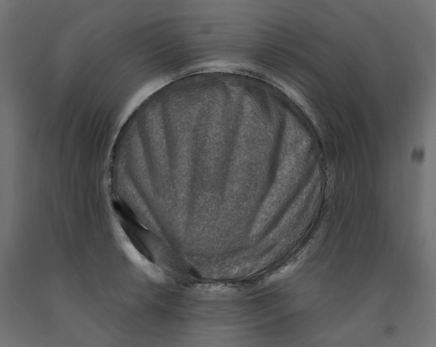 X0000091861042200710031657