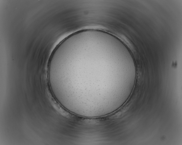 X0000091861044200710031657