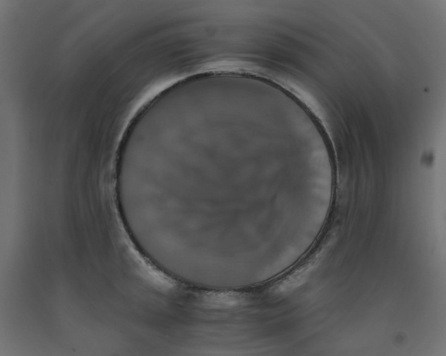 X0000091861045200710031657