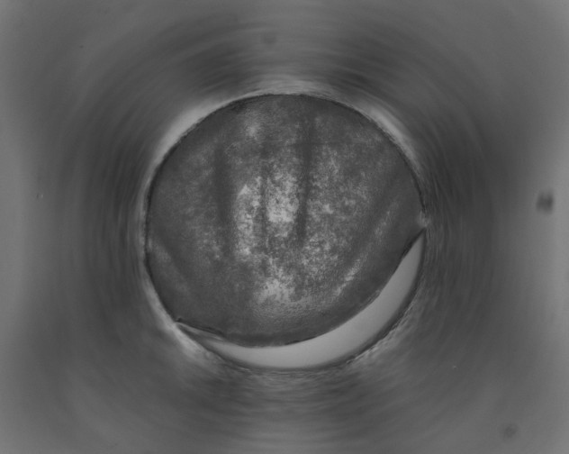 X0000091861046200710031657