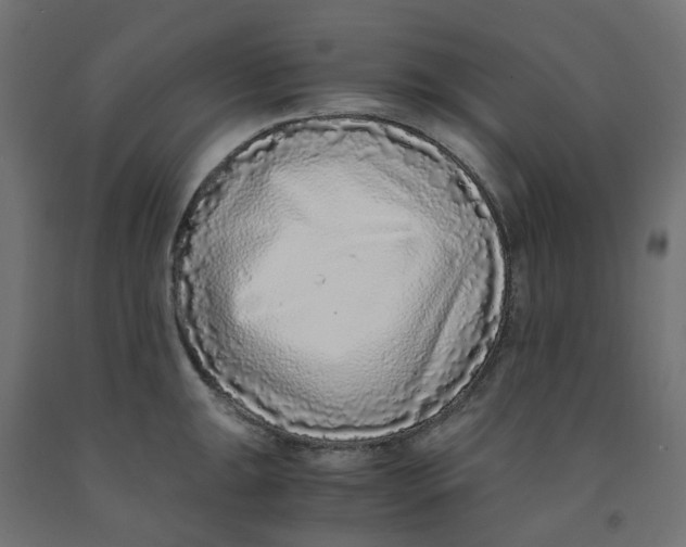 X0000091861047200710031657