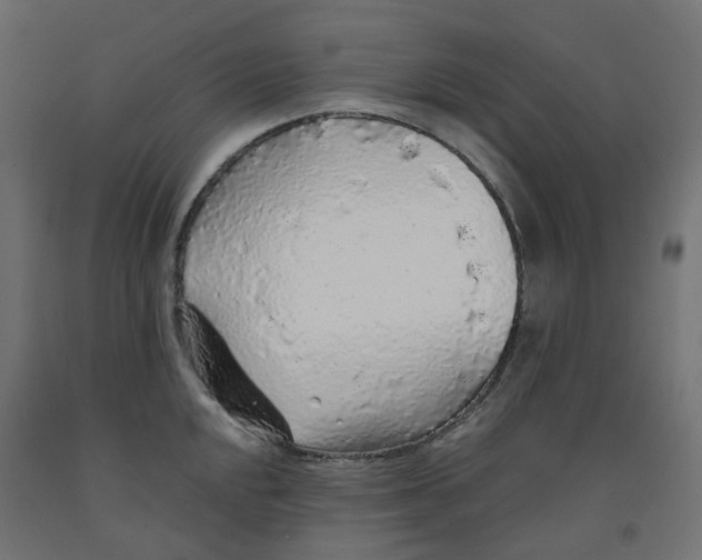 X0000091861048200710031657