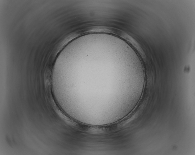 X0000091861049200710031657