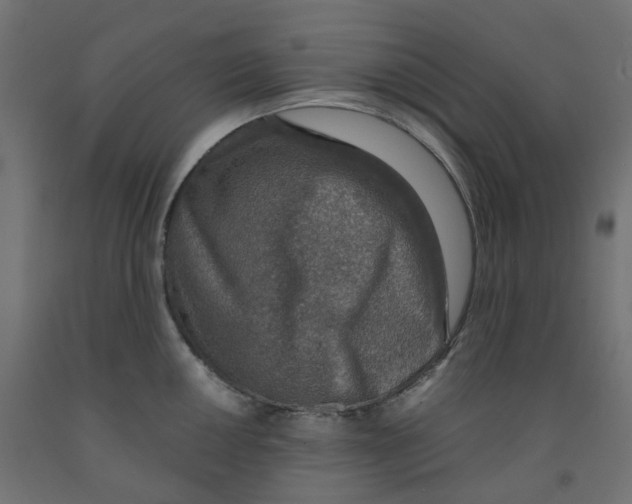 X0000091861050200710031657