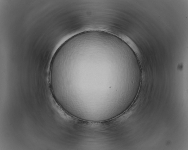 X0000091861052200710031657