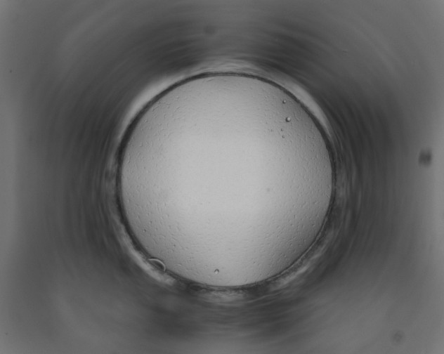 X0000091861053200710031657