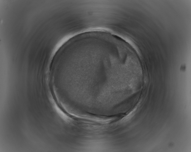 X0000091861054200710031657