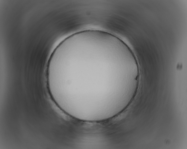 X0000091861056200710031657