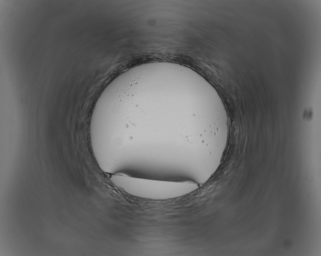 X0000091861057200710031657