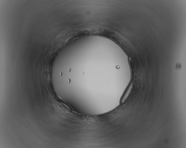 X0000091861058200710031657