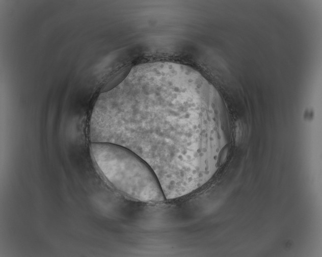 X0000091861059200710031657