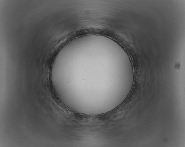 X0000091861061200710031657