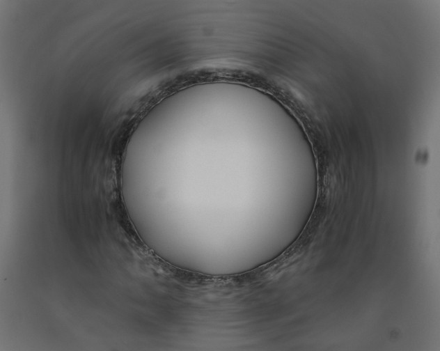 X0000091861062200710031657