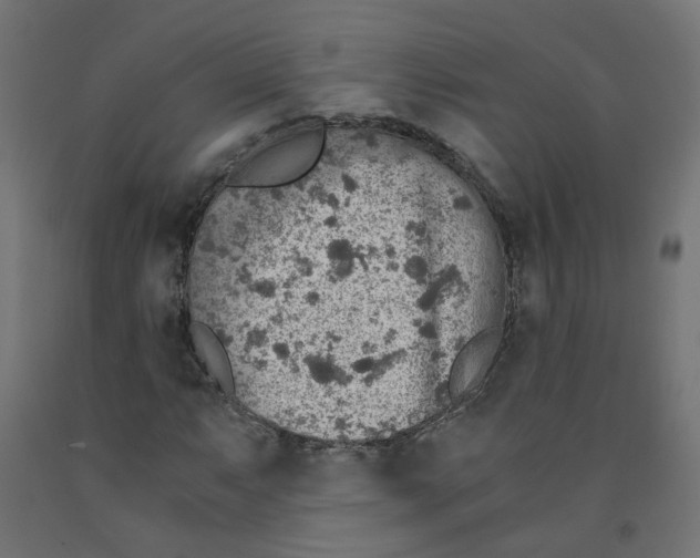 X0000091861063200710031657