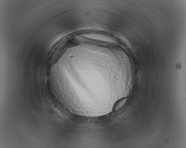 X0000091861064200710031657