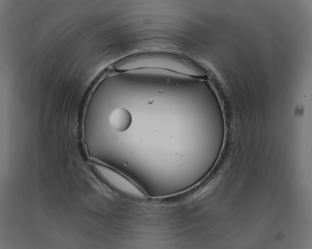 X0000091861065200710031656