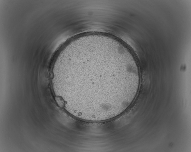 X0000091861067200710031656