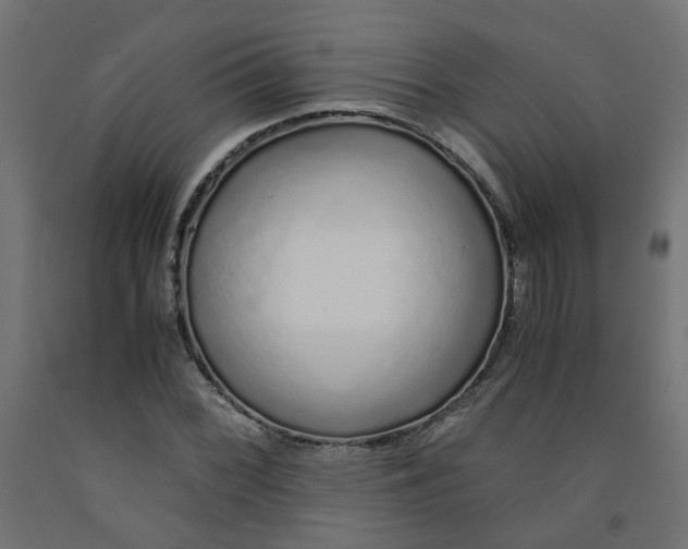 X0000091861068200710031656