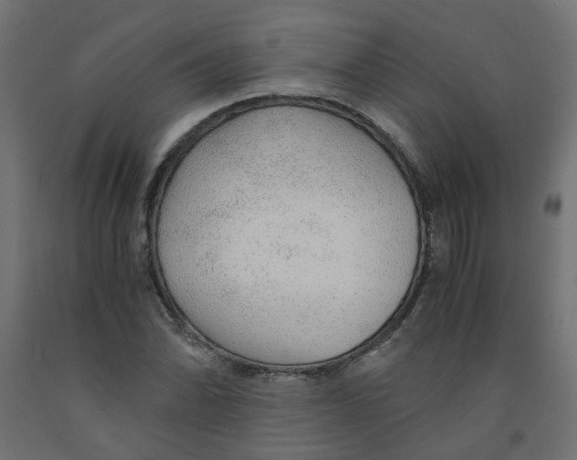 X0000091861070200710031656