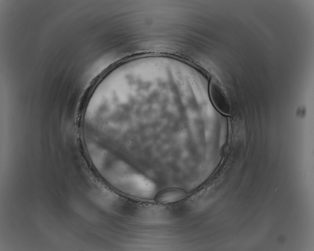 X0000091861071200710031656