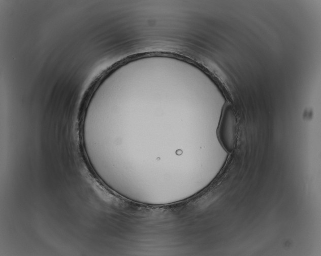 X0000091861072200710031656