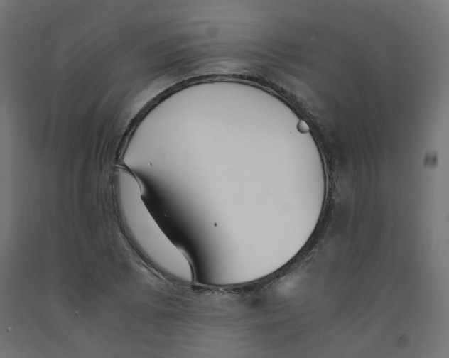 X0000091861073200710031656