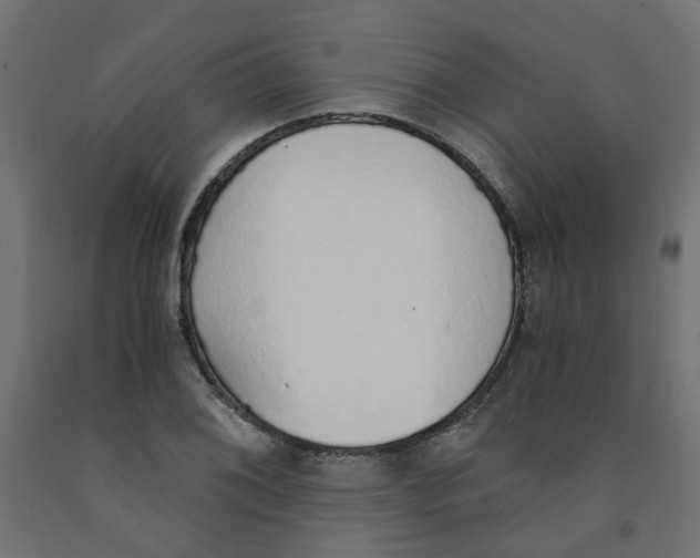 X0000091861076200710031656