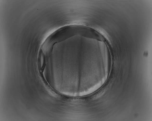 X0000091861077200710031656