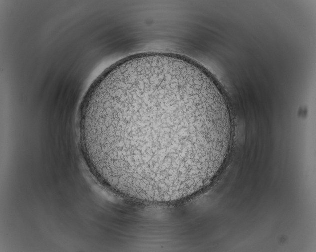 X0000091861078200710031656