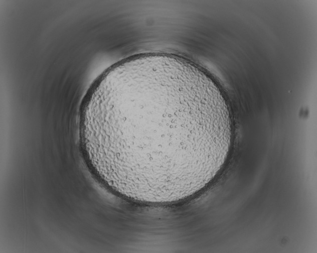 X0000091861079200710031656