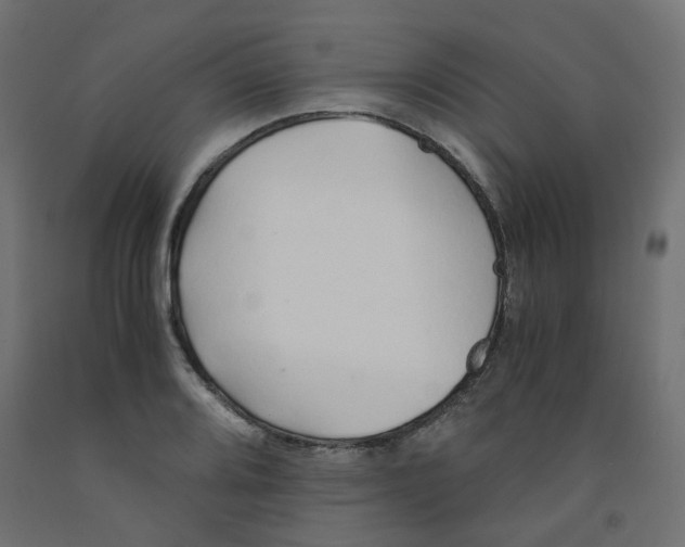 X0000091861080200710031656