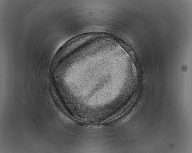 X0000091861081200710031656