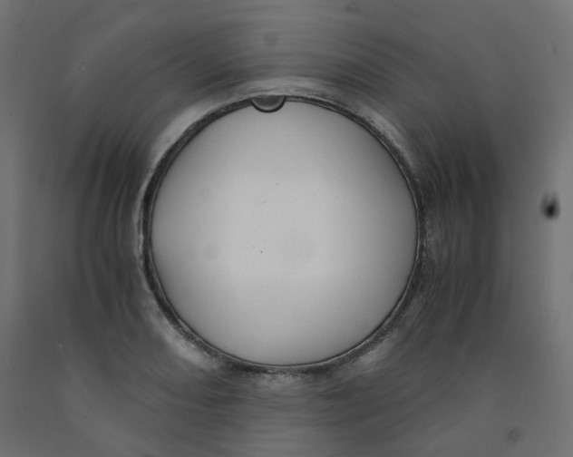 X0000091861082200710031656