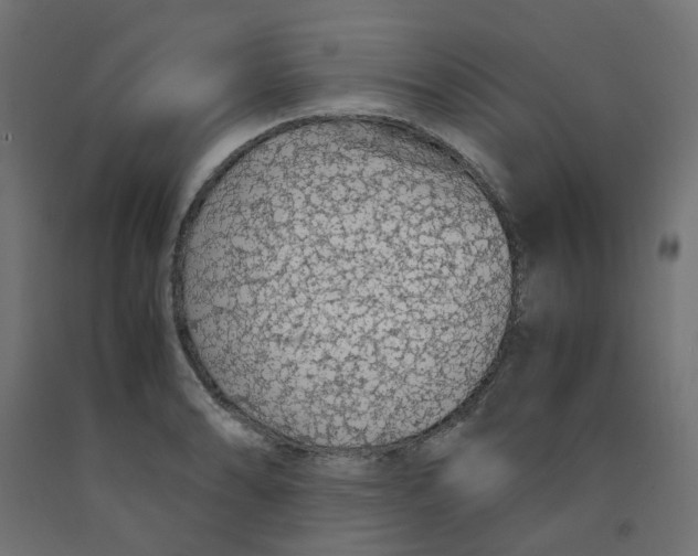 X0000091861086200710031656