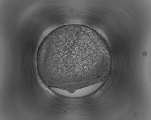 X0000091861088200710031656