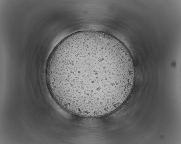 X0000091861091200710031656